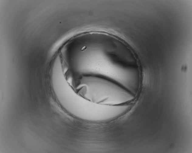 X0000113201502200909241345