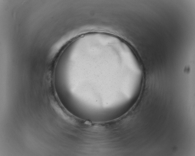 X0000113201503200909241345