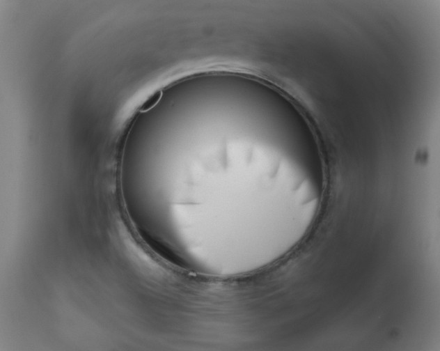 X0000113201504200909241345