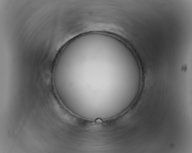 X0000113201505200909241345