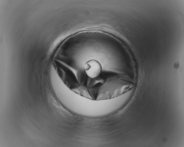 X0000113201506200909241345