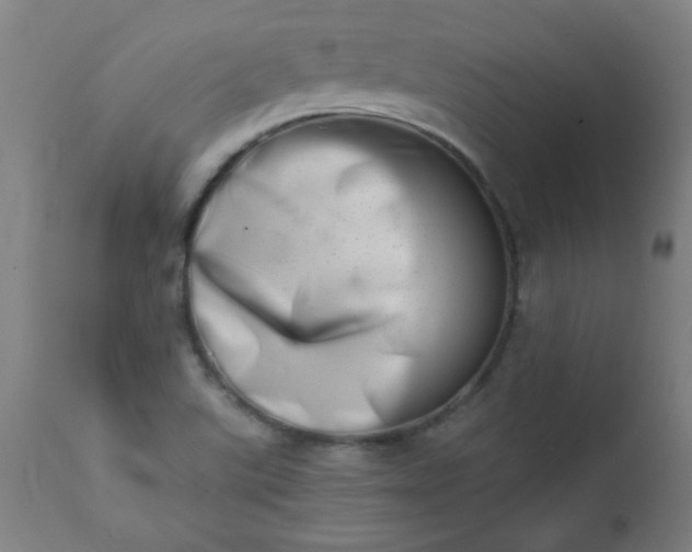 X0000113201507200909241345