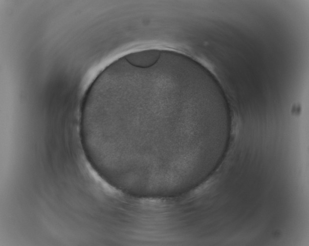 X0000113201508200909241345