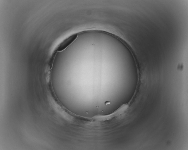 X0000113201510200909241345