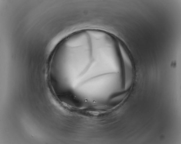 X0000113201511200909241345