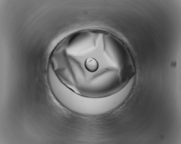 X0000113201512200909241345