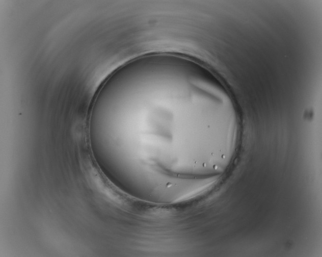 X0000113201513200909241345