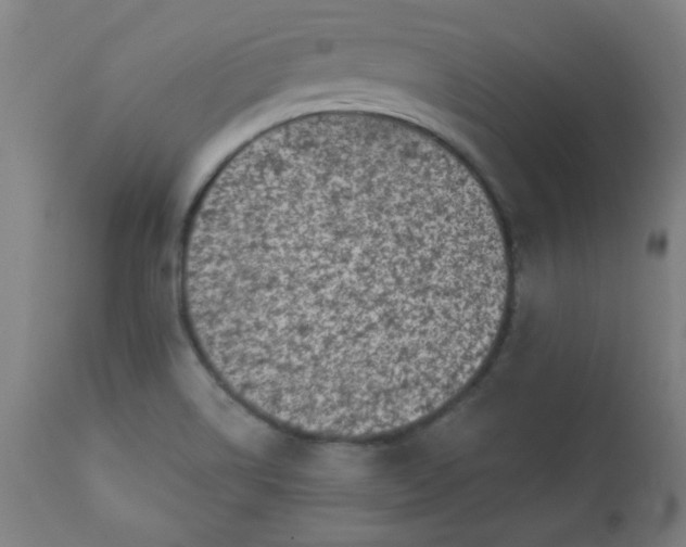 X0000113201514200909241345