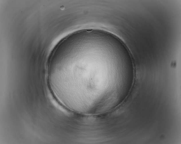 X0000113201515200909241345