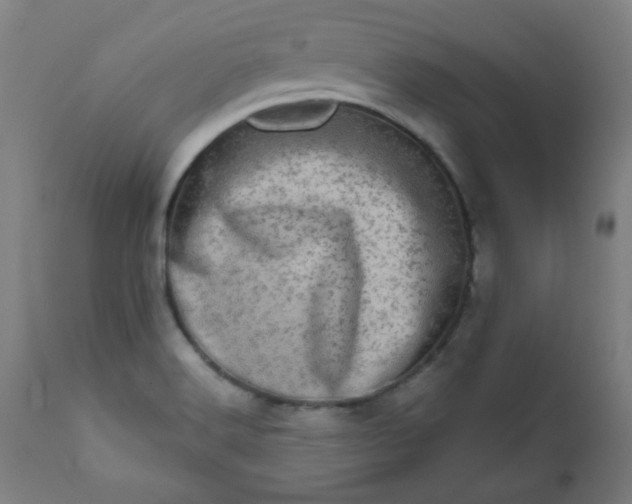 X0000113201516200909241345