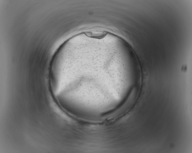 X0000113201518200909241345