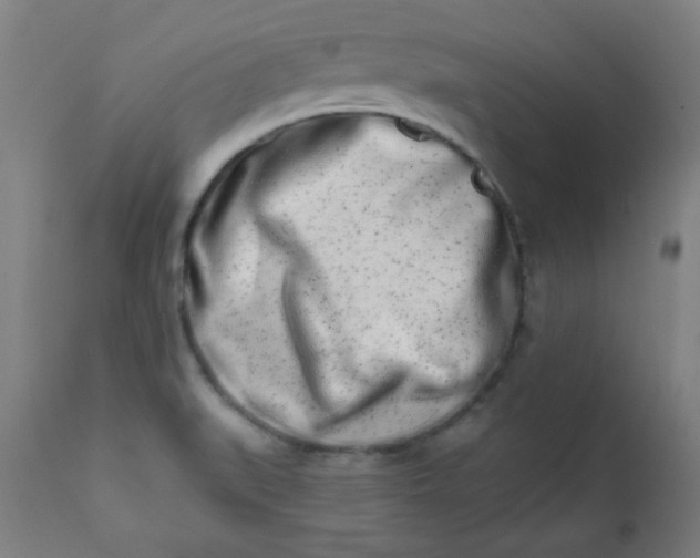 X0000113201519200909241345