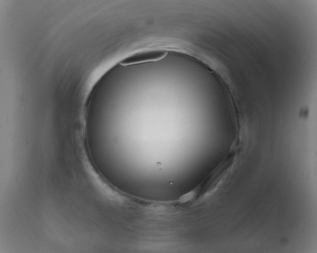 X0000113201520200909241345