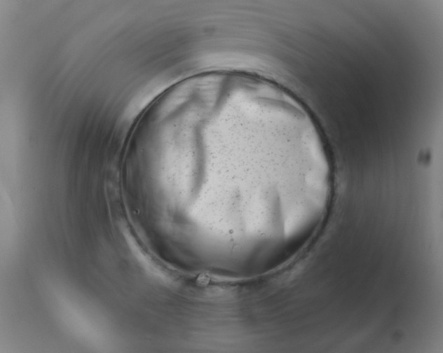 X0000113201521200909241345