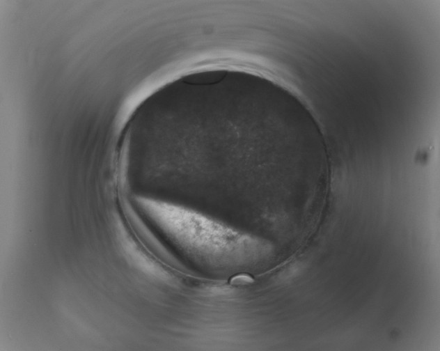 X0000113201522200909241345