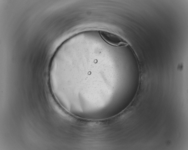 X0000113201523200909241345