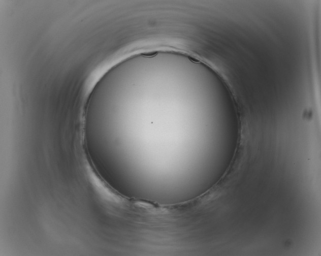 X0000113201524200909241345