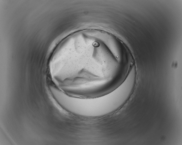 X0000113201525200909241345