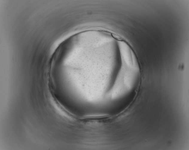 X0000113201526200909241345