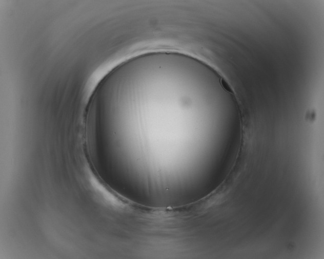 X0000113201527200909241345