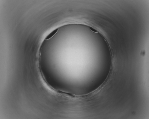 X0000113201528200909241345