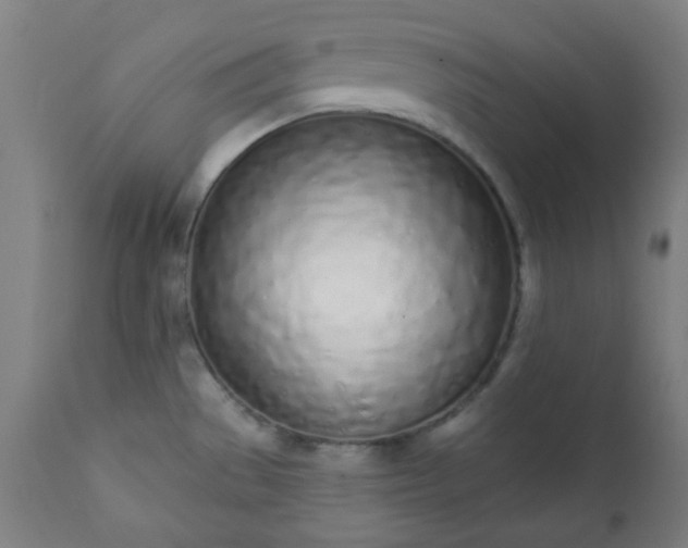 X0000113201529200909241346