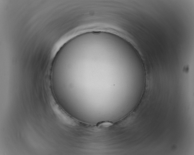 X0000113201530200909241346