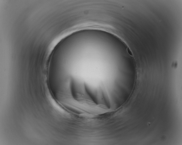 X0000113201531200909241346