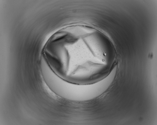 X0000113201532200909241346