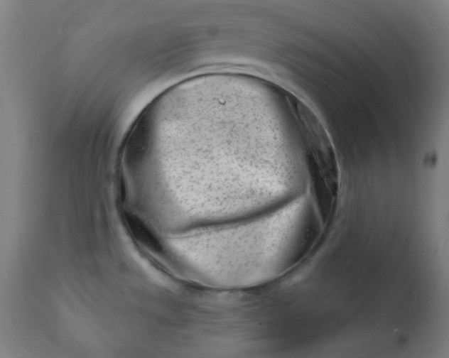 X0000113201533200909241346