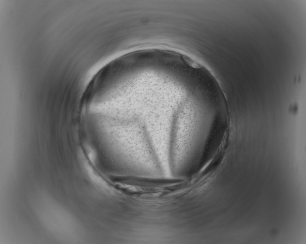 X0000113201534200909241346