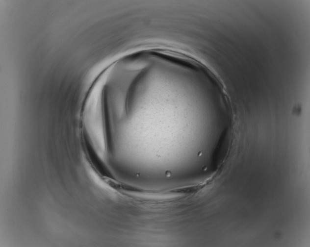 X0000113201535200909241346