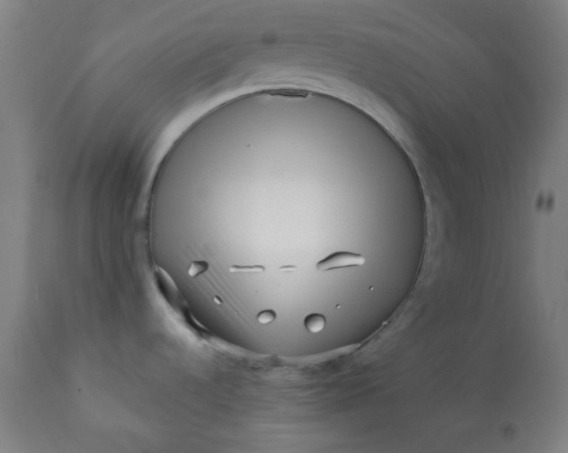 X0000113201536200909241346