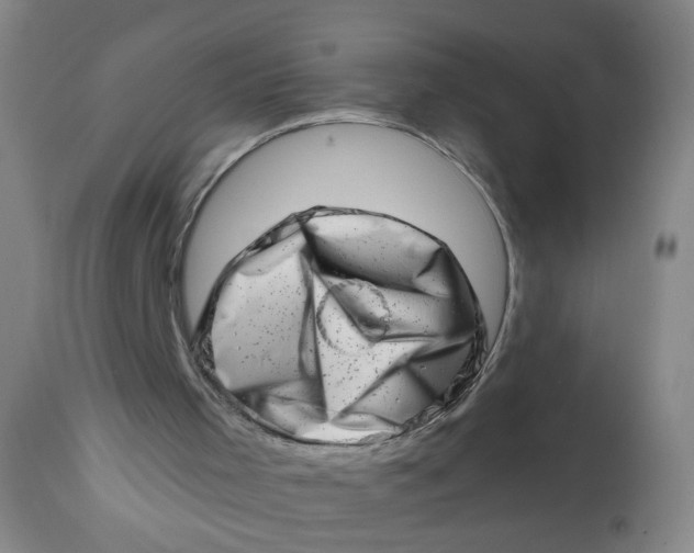 X0000113200001200910011307