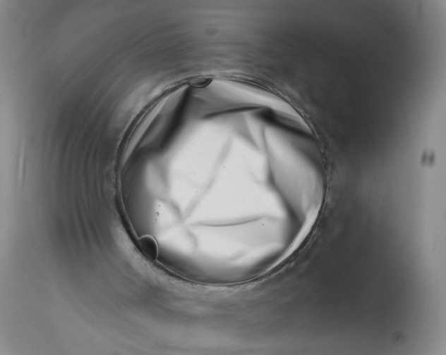 X0000113200002200910011307