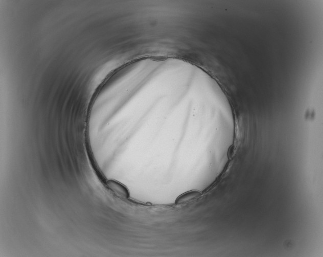 X0000113200003200910011307