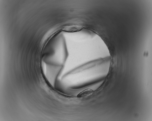 X0000113200004200910011307