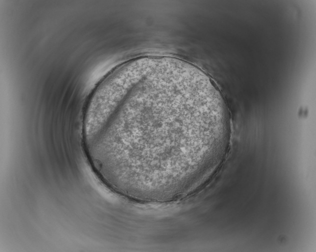 X0000113200005200910011307