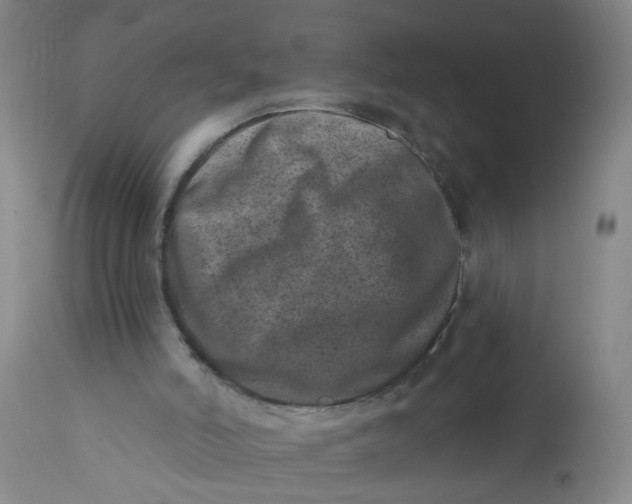 X0000113200006200910011307