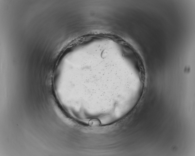 X0000113200009200910011307