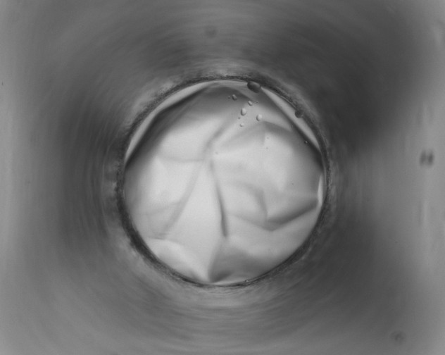 X0000113200010200910011307