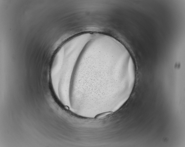 X0000113200011200910011307