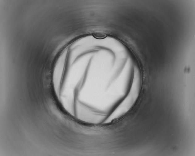 X0000113200012200910011307