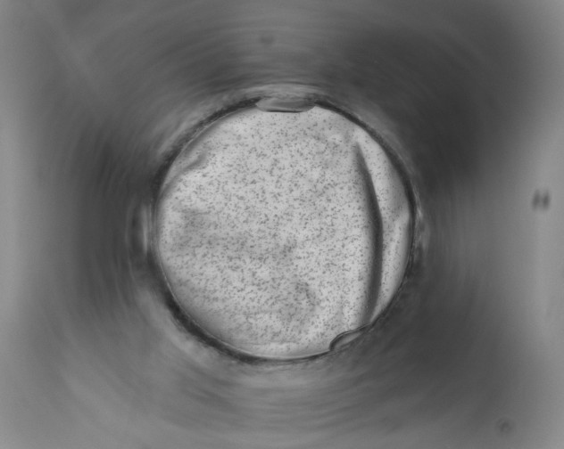 X0000113200013200910011307