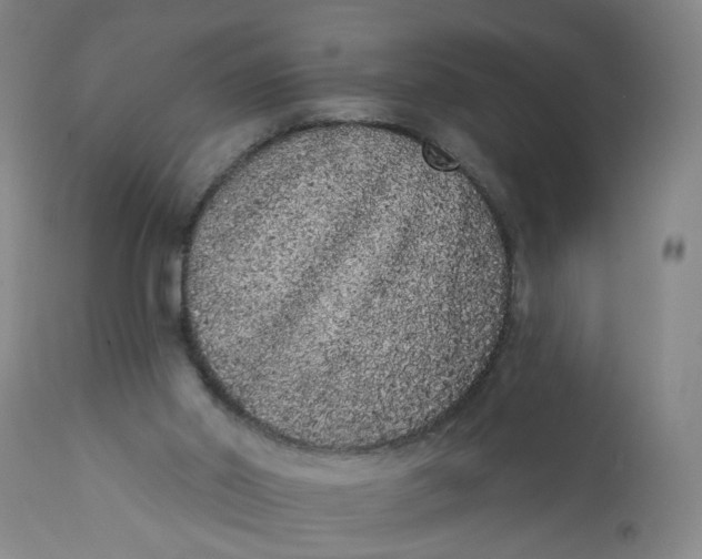 X0000113200014200910011307