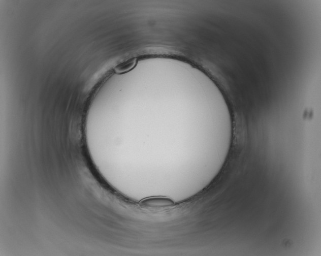 X0000113200015200910011307