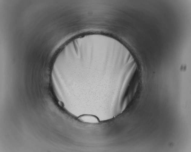 X0000113200016200910011307