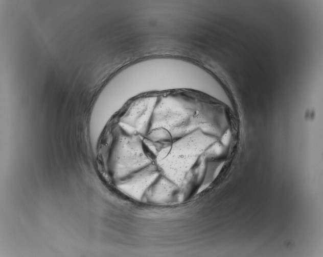 X0000113200017200910011307