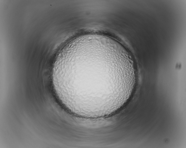 X0000113200018200910011307