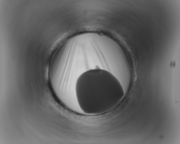 X0000113200019200910011307